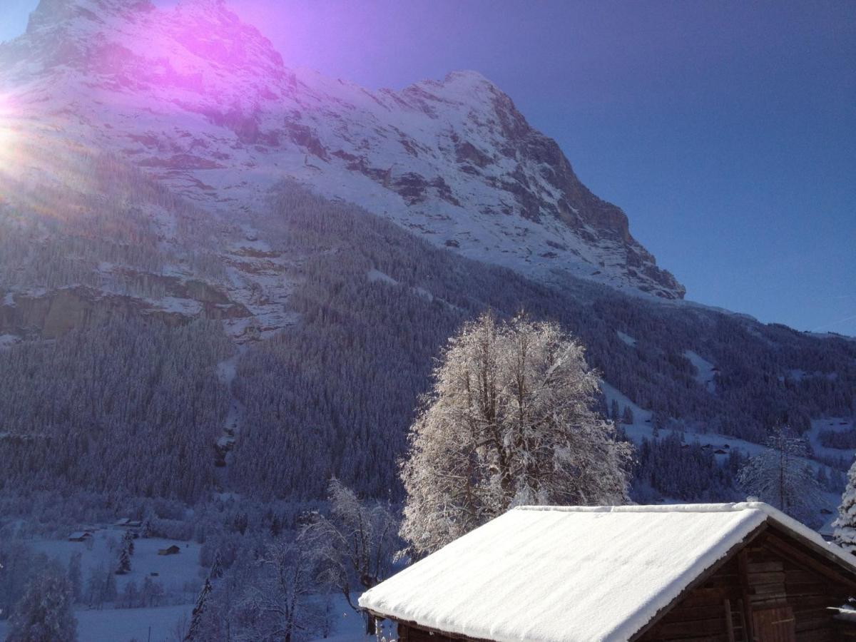 Apartment Chalet Bärgsunna-4 Grindelwald Exteriör bild